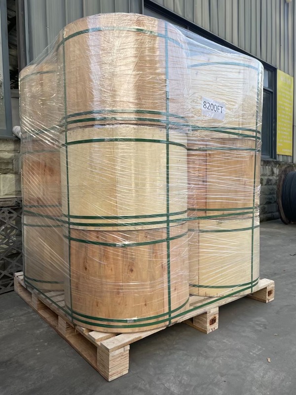 48 Kern-gepanzerter Lichtwellenleiter im Freien GYTZA flammhemmend